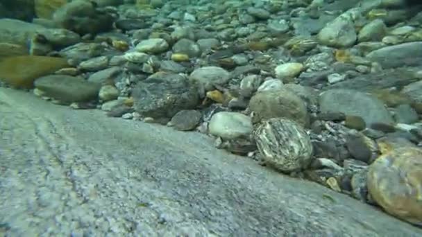Undervattensutsikt över rent genomskinligt vatten av berg ren flod på slät klippa. — Stockvideo