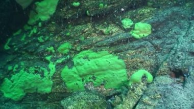 Baykal Gölü 'nün dibindeki su altı kumu.