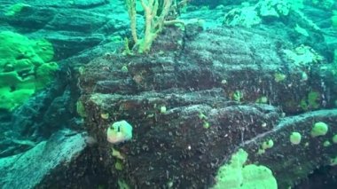 Baykal Gölü 'nün dibindeki su altı kumu.