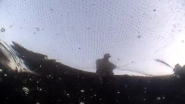 Baykal Gölü 'nde balık ağında canlı balık avı..