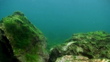 Baykal Gölü 'nün altında..