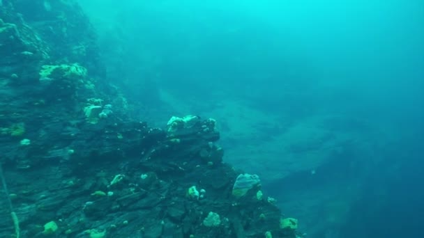 Underwater sand bottom of Lake Baikal. — Stock Video