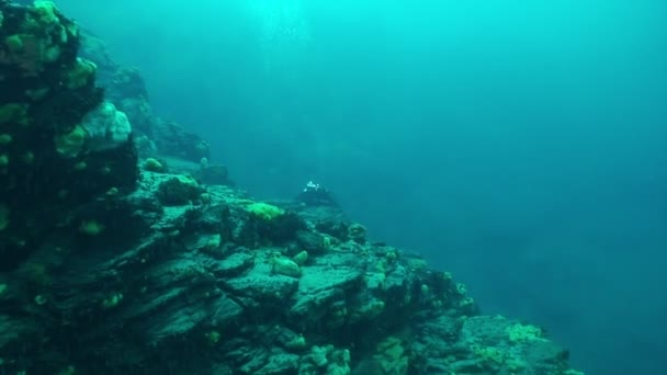 Baykal Gölü 'nün dibindeki su altı kumu. — Stok video