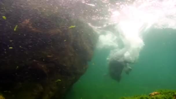 贝加尔湖水下岩石底部的封印. — 图库视频影像