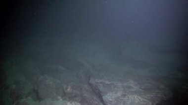 Baykal Gölü 'nün dibindeki su altı taşları..