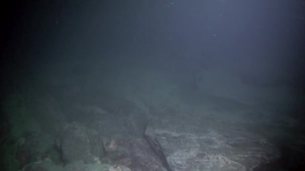 Pedras subaquáticas no fundo da rocha do Lago Baikal. — Vídeo de Stock