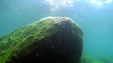 Baykal Gölü 'nün dibindeki su altı taşları..
