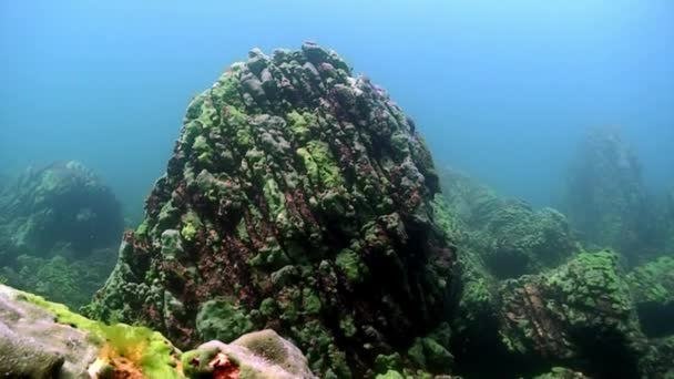 Podwodne kamienie na dnie jeziora Bajkał. — Wideo stockowe