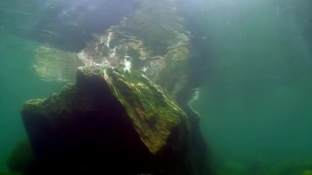 Pedras subaquáticas rock fundo do Lago Baikal. — Vídeo de Stock