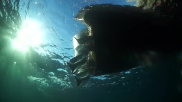 Mergulhador sob a superfície da água contra o sol. — Vídeo de Stock