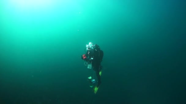 Duiker onder het wateroppervlak tegen de zon. — Stockvideo