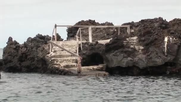 Coasta Insulelor Galapagos . — Videoclip de stoc
