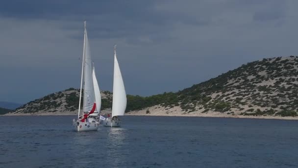 Three white yacht sailing. — Stock Video