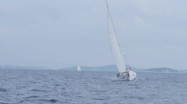 Yatlar ve yelkenliler kıyıya yakın dalgalar ve doğal manzara üzerinde.