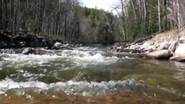 Dağ nehri Temnik, Baykal Devlet Doğa Koruma Alanı 'nın sınırında..