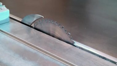 Woodworking machine  with a circular saw saws veneer angle. Two circular saws of woodworking machine.