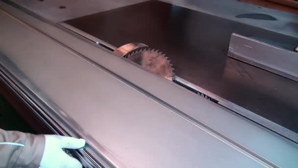 Macchina per la lavorazione del legno con un angolo di impiallacciatura seghe circolari. Due seghe circolari per la lavorazione del legno . — Video Stock