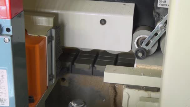 Planing Machine at the woodworking and furniture Industry and Plant. — Stok Video