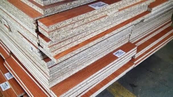 Bútor és Particleboard készlet Famegmunkálás és bútoripar számára. — Stock videók