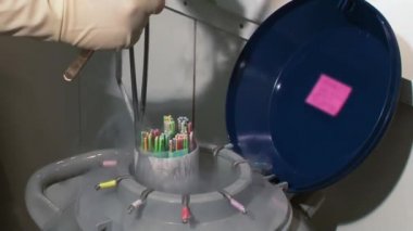 Yumurta ve üreme klinik araştırma mikroskobu, şırınga ve petri kabına gübreleme ile doğurganlık doktor.