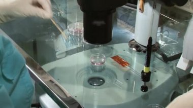 Yumurta ve üreme klinik araştırma mikroskobu, şırınga ve petri kabına gübreleme ile doğurganlık doktor.