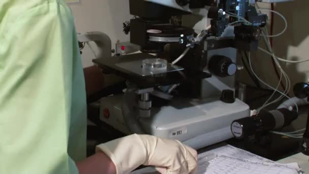 Médecin de la fertilité avec un microscope, une seringue et une boîte de Pétri fécondation des œufs et recherche dans les cliniques de reproduction . — Video