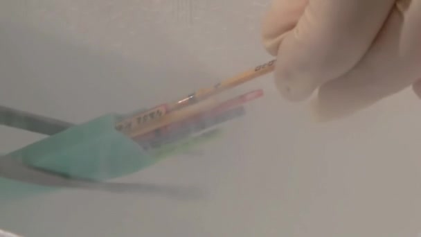 Лікар фертильності з мікроскопом, шприцом та стравою Петрі запліднення яєць та дослідження в репродуктивних клініках . — стокове відео