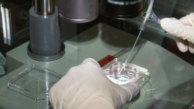 Yumurta ve üreme klinik araştırma mikroskobu, şırınga ve petri kabına gübreleme ile doğurganlık doktor.