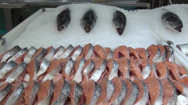 Filete de pescado rojo en barco en la nieve en los estantes de tiendas y supermercados. Comida fresca, carne, pan, pescado, ensalada en los estantes de tiendas y supermercados . — Vídeo de stock