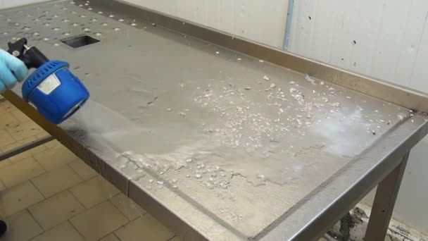 Wash residues from meat cutting table. — Stock Video