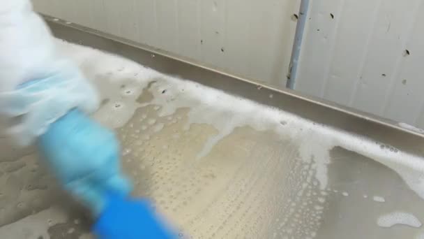 Tisztítása vágóasztal kék kefe. — Stock videók