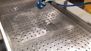 Dondurulmuş balık tepsitemizliği.