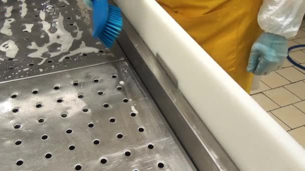 Reinigung des Tabletts mit gefrorenem Fisch. — Stockvideo