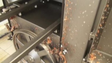 Tozlu bir arabada et kalıntıları.