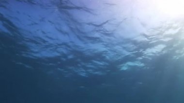 Su altında güneşin ışınları. Arka plan.