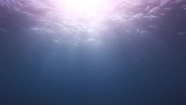 The rays of the sun underwater. Background. — Stock Video