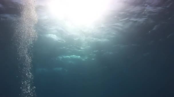 The rays of the sun underwater. Background. — Stock Video