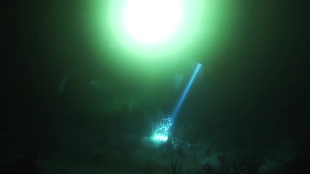 Bir gece dalış sırasında ışık ışınları. — Stok video