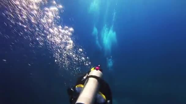 青い海で泳ぐダイバー、気泡を聞かせてと. — ストック動画