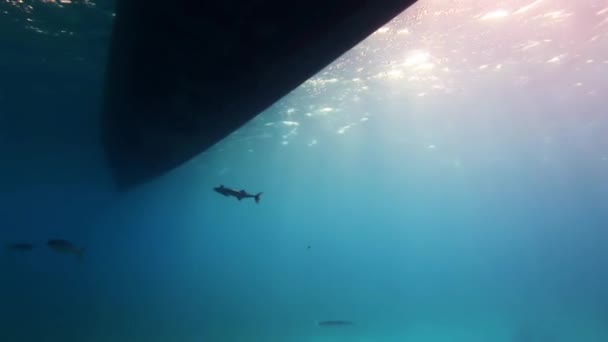 太陽を背景に水の外のボートの下. — ストック動画