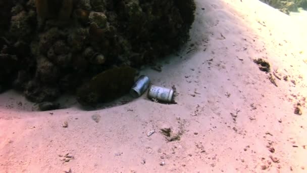 Basura en el fondo del mar en el arrecife . — Vídeos de Stock