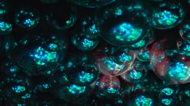 Ayna topları renkli ışıklar ışınları yansıtacak.