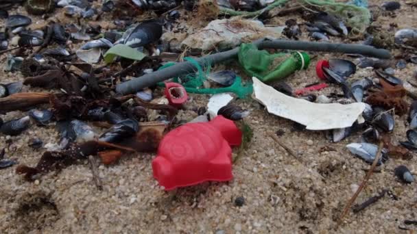 Πλαστικά Σκουπίδια Ξεβράστηκαν Στην Αμμώδη Παραλία Χειμώνα Αργή Κίνηση Εμπρός — Αρχείο Βίντεο