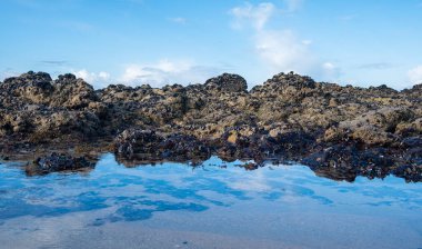 Mavi gökyüzü, kışın kumsaldaki bir kaya havuzuna yansıyor. Çerçevenin ortasında karanlık, engebeli kayalar var..