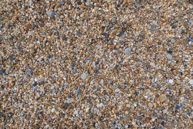 Sahilde çakıl taşları, arka plan dokusunu kapat.