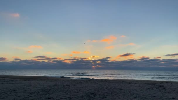 Ein Einzelner Vogel Silhouette Der Bei Sonnenuntergang Über Den Ozean — Stockvideo