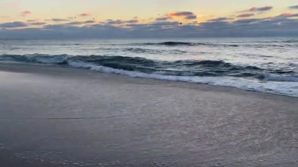 日落时鸟儿在海面上低空飞行 随着海浪在沙滩上破浪而来 从左到右从宽尾随鸟的跟踪镜头 — 图库视频影像