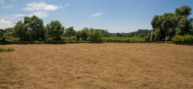 Portekiz kırsalında güneşli bir günde tarlada saman kuruyor..