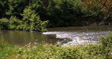 Portekiz, Vila do Conde yakınlarındaki Ave Nehri 'nde hızlı akan su. Nehir kıyısında yoğun bitki örtüsü.