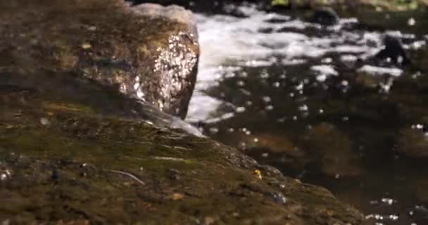 Água Limpa Limpa Que Flui Sobre Cachoeira Rio Fecha Boneca — Vídeo de Stock